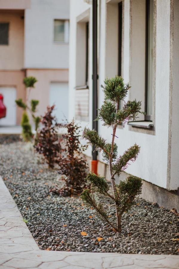 The Nook Aparthotel Timisoara Luaran gambar